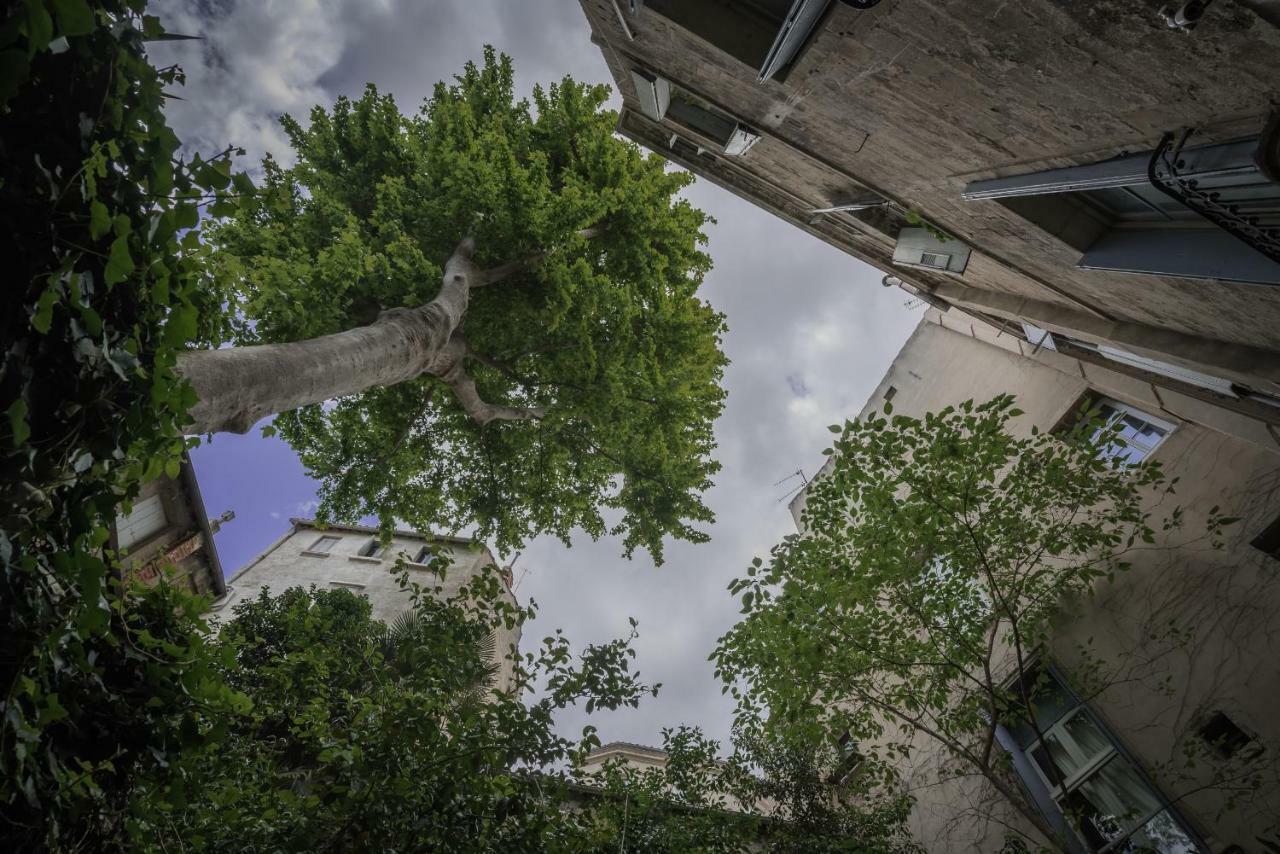 Les Jardins De L'Ecusson - Premiere Conciergerie Apartment Montpellier Bagian luar foto